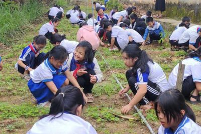 CÔNG TRÌNH MĂNG NON CẤP LIÊN ĐỘI CHÀO MỪNG 85 N🌱ĂM NGÀY THÀNH LẬP ĐỘI TNTP HỒ CHÍ MINH🌱
